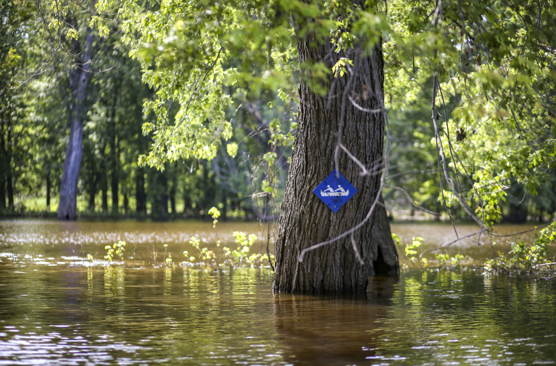 THE GREAT RIVER-0269